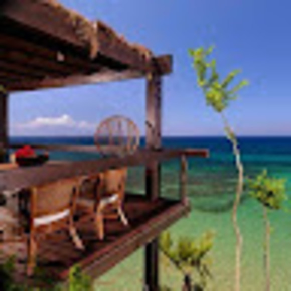 Meet your Posher, Toni - Picture 1 of 1